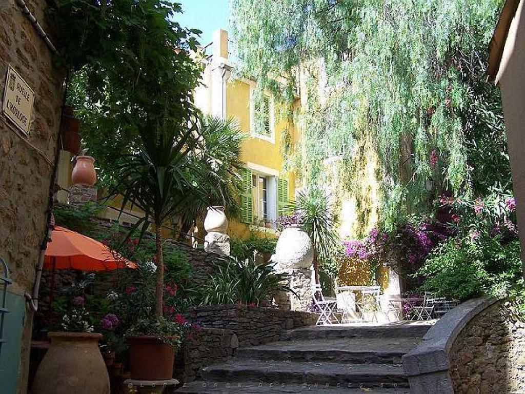 183 D23 BORMES LES MIMOSAS 1_000048.jpg